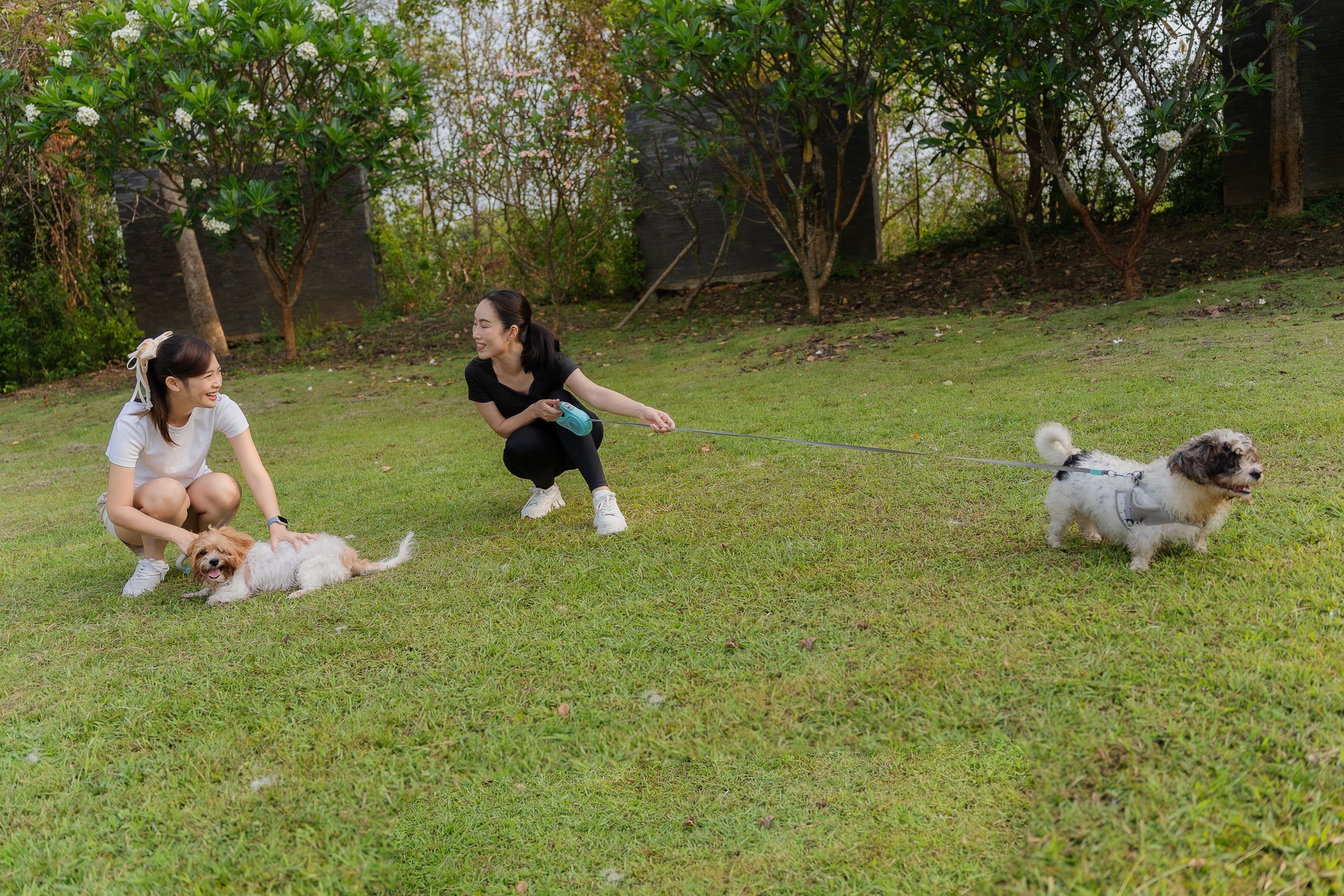 Two young women enjoy a fun time with a little dog and strengthen their bond. The playful interaction captures their affectionate relationship in the meadow.